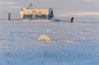 Svalbard weather forecast