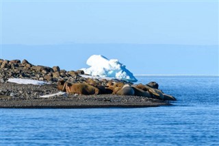 Svalbard pronóstico del tiempo