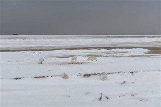 Svalbard weather forecast