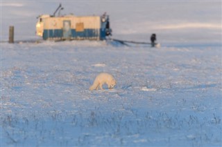 Svalbard weather forecast