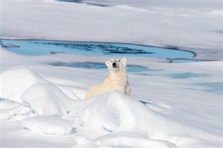 Svalbard weather forecast