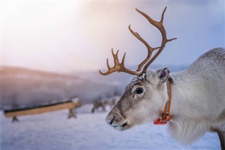 Svalbard prognoza pogody