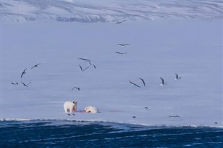 Svalbard prognoza pogody