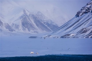 Svalbard weather forecast