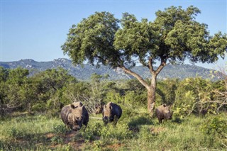 Swaziland weather forecast