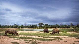 Swaziland weather forecast