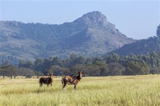 Swaziland weather forecast