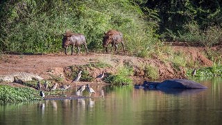 Swaziland weather forecast