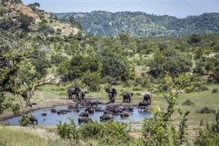 Swaziland weather forecast