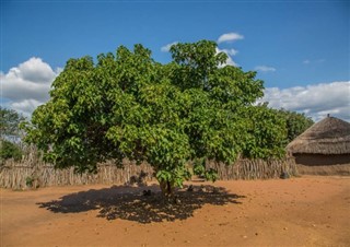 Swaziland weather forecast