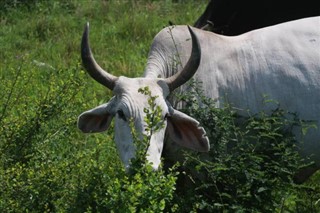 Swaziland weersvoorspelling