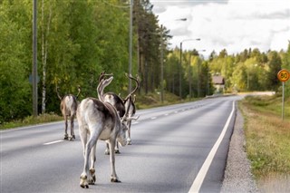 Sweden weather forecast