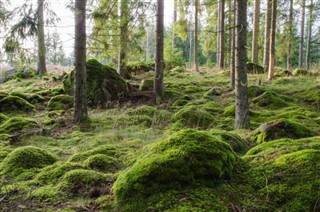 Sweden weather forecast