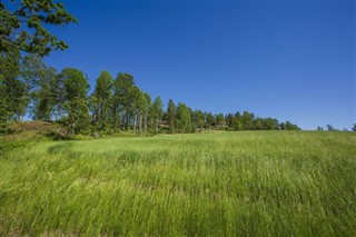 Sweden weather forecast