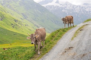 Switzerland weather forecast