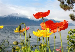 Switzerland weather forecast