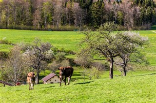 Switzerland weather forecast