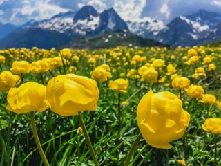 Switzerland weather forecast