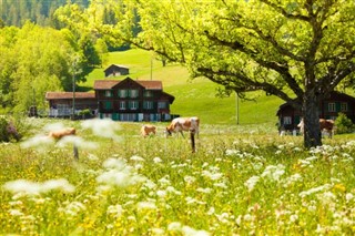 Switzerland weather forecast