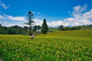 Taiwan weather forecast