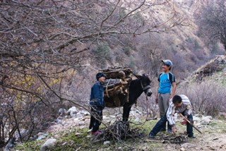 Tajikistan weather forecast