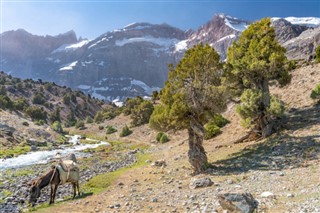 Tajikistan weather forecast