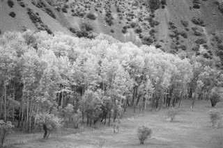 Tajikistan weather forecast