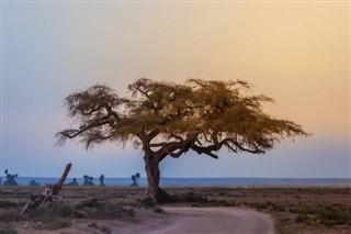 Tanzanija vremenska prognoza