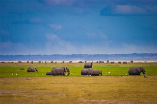 Tanzania weather forecast