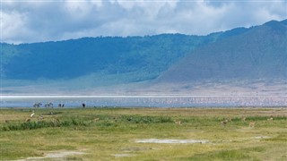 Tanzania weather forecast