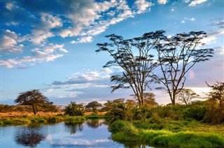 Tanzania weather forecast