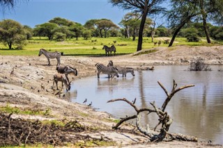 Tanzania weather forecast