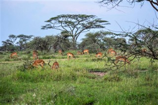 Tanzania weather forecast