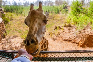 Tanzania prognoza pogody