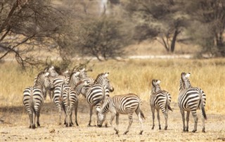 Tanzania weersvoorspelling