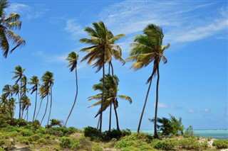 Tanzania weather forecast