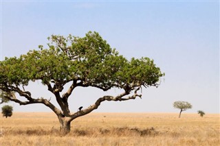 Tanzania pronóstico del tiempo