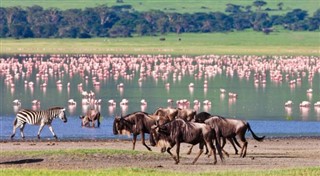 Tanzania weather forecast