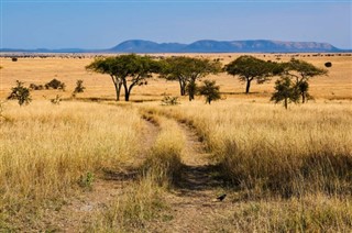 Tanzania weather forecast