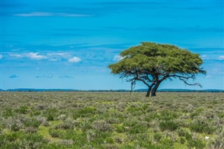 Tanzania weather forecast