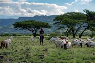 Tanzania weather forecast