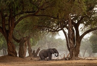 Tanzania weather forecast