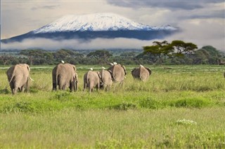 Tanzania weather forecast