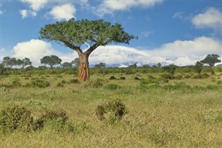 Tanzania weather forecast