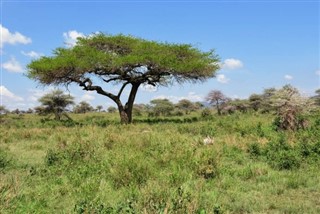 Tanzania weather forecast