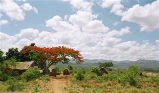 Tanzania weather forecast