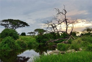 Tanzania weather forecast