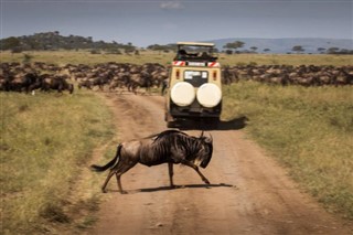 Tanzania weather forecast