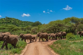 Tanzania weather forecast