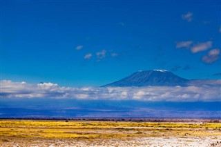 Tanzania weather forecast